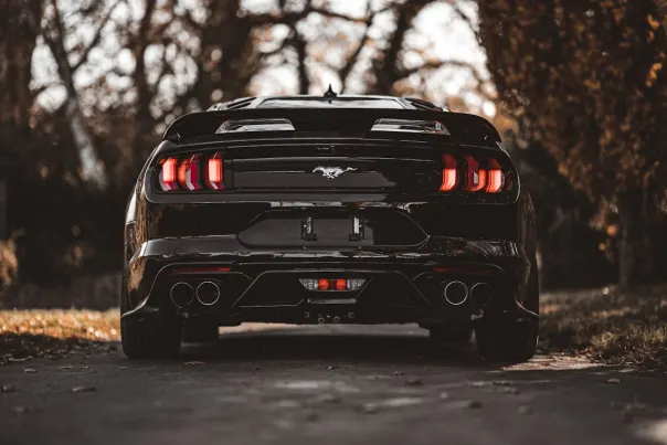 Casino Posh Bingo Aip Android/iOS